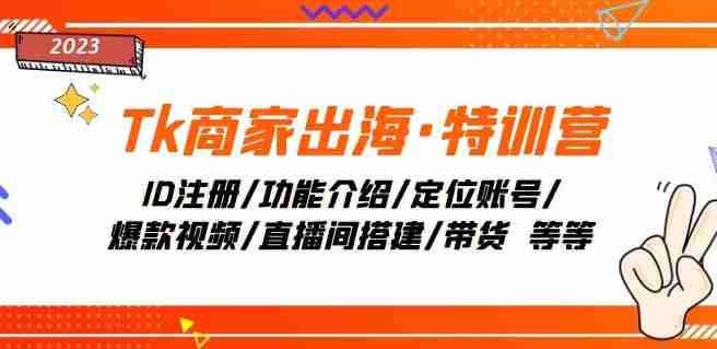 Tk商家出海·特训营：ID注册/功能介绍/定位账号/爆款视频/直播间搭建/带货-生财学社创业网